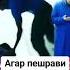 ДОМУЛЛО АБДУЛКОДИР ДАР БОРАИ ЗИНО