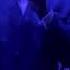 Everything Must Change Quincy Jones Experience Tribute Tim B Presented By TF Productions