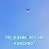 Красота Pigeon Birds голуби Tauben Kabootar птицы Kabutar