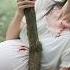 Cinderella Gives Birth In The Wild CEO Hears Baby Cry Recognizes His Own Child