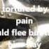 Hand Of Sorrow By Within Temptation With Lyrics