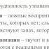 Патопсихология виды нарушений