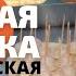 КОНДИТЕРСКАЯ СЛАДКАЯ СЕМЕЙКА