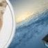 How To Make A Mountain Lion Install Drive Or DVD