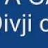 KLAPA CAMBI Divji Cvit