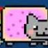 NYAN CAT HOUSE VERSION