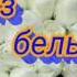 БУКЕТ ИЗ БЕЛЫХ РОЗ ИРИНА КРУГ ВИКТОР КОРОЛЁВ