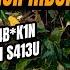MEMILUKAN DILEC3 HK4NN DARI KELAS 3 SD OLEH GURU PAS GEDE D1P3R XO54 IPAR