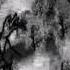 12 Deadrazy Blóðgjafirəbˈhársvörðdərisi 18 08 2018