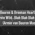 Armin Van Buuren Toneshifterz Zany Vs Devin Wild Blah Blah Blah Vs Wild Wild Son Avb Mashup