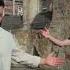 Hogevor Erger Armenia Armenian Christian Song 2025