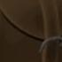 Roblox Write A Letter How To Get The Pouch