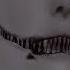 Eyes The Horror Game Old Jumpscare Remastered