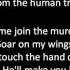 Come Join The Murder The White Buffalo Lyrics