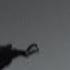Scary Shorts Story About The Most Recent Sighting Of The Mothman In Point Pleasant WV