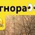 Стоит ли прерывать молчание если вас игнорируют нрл отношения возвратбывшего игнор нарцисс