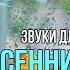Долгий Осенний Дождь