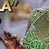 Maar Dala 4K Music Video 2002 Devdas Movie B4K