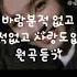바람분적 없고 본적없고 사랑도없고 원곡 就当风没吹 넘좋은 노래 무한반복