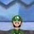 Luigi Does The Numa Numa