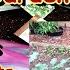 Start Your Fall Garden In Seed Flats All The Basic Steps To Save Money Save Time Avoid Problems