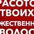 Александр Серов Я люблю тебя до слёз идеальное качество 100 оригинальный минус