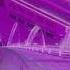 2077 IVOXYGEN Lyric Video