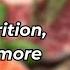 IN DEPTH Tim Noakes On RFK Beating Cancer Diabetes Obesity And Reining In Big Pharma
