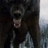 Breaking Benjamin Feed The Wolf Music Video
