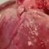 Human Heartbeat Sound Effect 60 Bpm HIGH