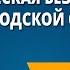 Экологическая безопасность в городской среде