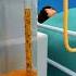 How Liposuction Works Quick Overview Shorts Creativelearning3d