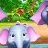 Посчитай 5 слонов Мои первые уроки Детские песни Little Baby Bum