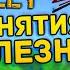 Не занимайся этим в STARDEW VALLEY