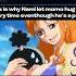 The Reason Why Nami Let Momo To Hug Her Nami Catburglar Onepiece