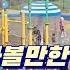 판교 여행지 3종 가성비 여름특집 물놀이 로봇 체험 생태체험 모두 무료로 가능하다고 화랑공원 물놀이장 판교 어린이도서관 로봇관 환경생태학습원