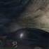 Grand Theft Auto V Easy Come Easy Go Stars