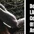 Behemoth Satanica 1999 Full Album