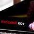 Русский Кот Глеб Жеглов и Володя Шарапов