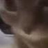 Chipi Chipi Chapa Chapa Cat 1 Minute