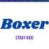 How Would AOT Boys Sing Boxer By Stray Kids