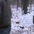 Виртуальные пацаны Mov