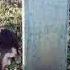 Sdd Ramazon YouTube Tj
