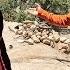 Searching For Hope Ali S Efforts To Reclaim His Inheritance