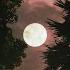 Midnight By Moonlight