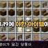 모장이 추가한 19금 아이템 Shorts