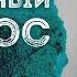 ДЕЛИКАТНЫЙ ВОПРОС Жизненные истории Романтические рассказы