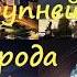 10 Размещение населения России География 9 класс Домогацких