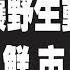 政府想让野生动物背锅 华南海鲜市场背锅 2020 01 27NO127 华南海鲜市场 赵红