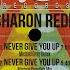 Never Give You Up Michael Gray Dub Mix
